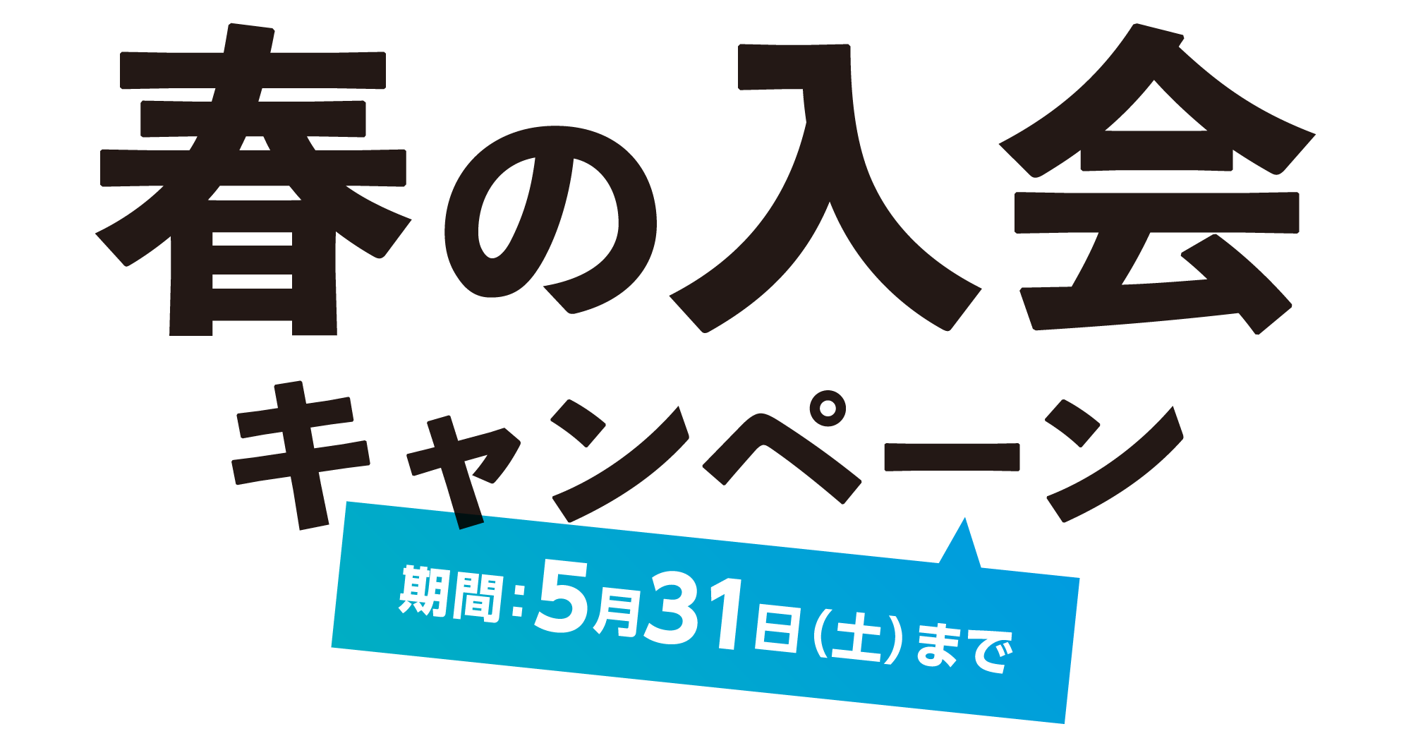 春の入会キャンペーン 5/31(土)まで