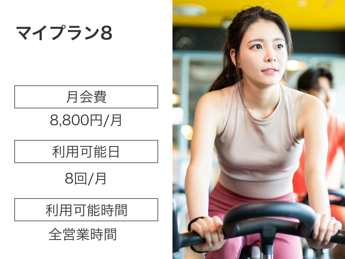 マイプラン8