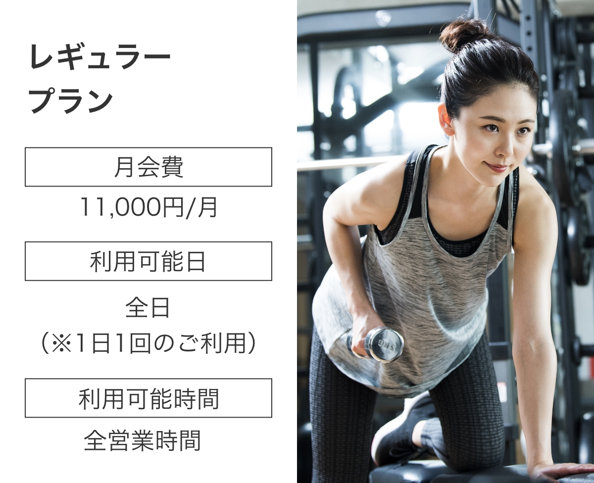 レギュラープラン